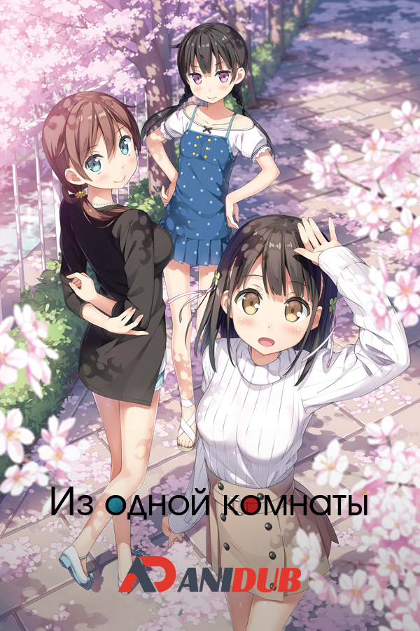 Из одной комнаты ТВ-1 / One Room TV-1 [12 из 12]