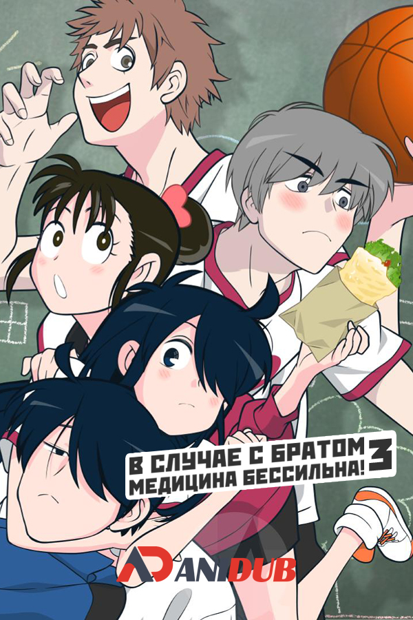 В случае с братом медицина бессильна! ТВ-3 / Ani ni Tsukeru Kusuri wa Nai! TV-3 [12 из 12]