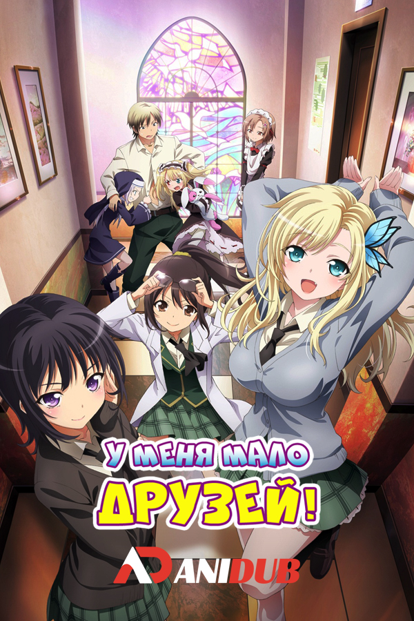 У меня мало друзей! / Boku wa Tomodachi ga Suku nai [TV-1 + TV-2] [24 из 24 + 2 OVA]